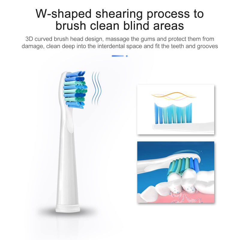 teeteck 5 Pack Electric Toothbrush Replacement Heads Compatible with Fairywillï¼ŒToothbrush Heads Compatible with FW-507/508/551/515/917/959/2011,FW-D1/D3/D7/D8 - Image 5